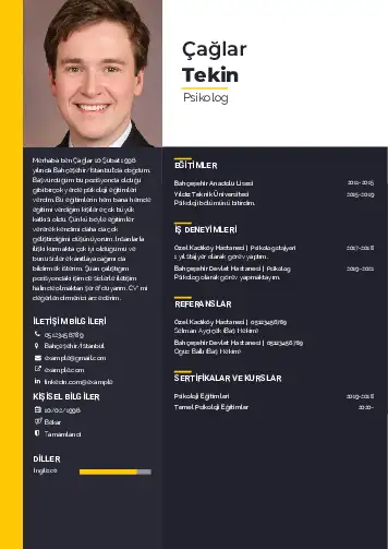 Psikolog CV Örnekleri cv indir